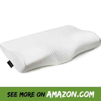 best pillow for neck pain