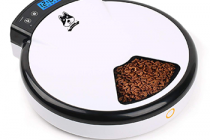 Review The Best Automatic Wet Food Cat Feeder 2022 – Consumer Reports