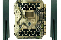 Review the Best Cellular Game Camera 2022 – Consumer Reports