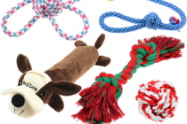 Review the Cool Dog Toys﻿ 2022 – Consumer Report
