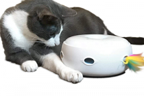 Review the Cool Cat Toys﻿ 2022 – Consumer Reports