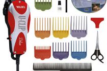 Review the Best Traveling Dog Groomer﻿ 2022 – Consumer Reports