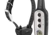 Best Electric Dog Training Collar 2022 – Consumer Reports